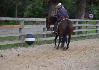 The cutting ball was a big hit this week. Casey & her horse Firestone give it a try